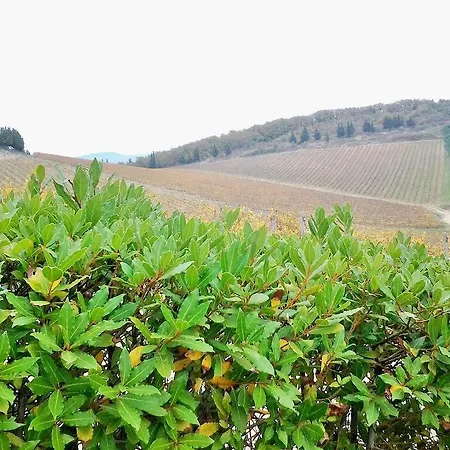 Διαμέρισμα Casa Toscana Gaiole in Chianti